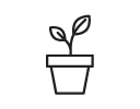 Plantes et Jardinières Plantes et Jardinières